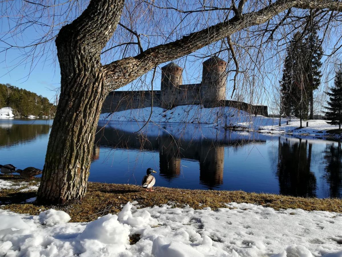 Savonlinna Rentals מראה חיצוני תמונה